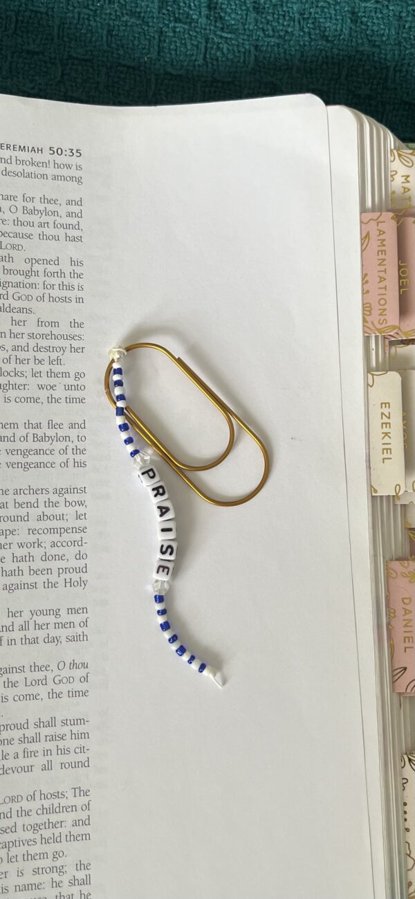 Beaded Paperclip Bookmark praise